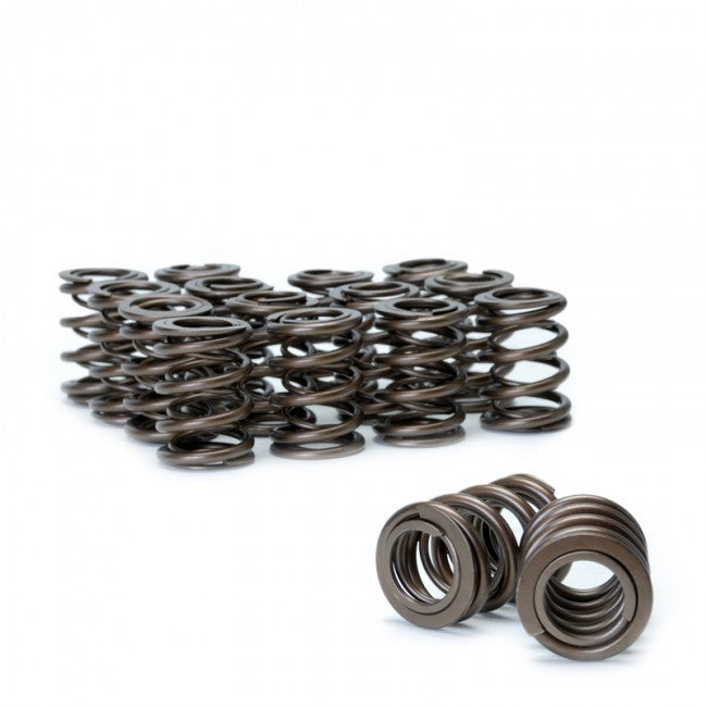 Skunk2 Alpha Valve Spring Set (Honda/Acura H22A F20B)