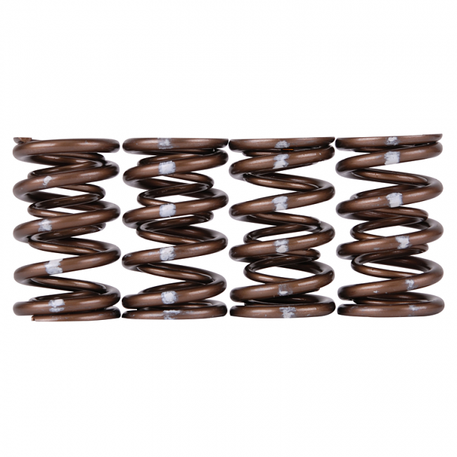 Skunk2 Pro XP Valve Spring Set (Honda/Acura K-Series i-VTEC)