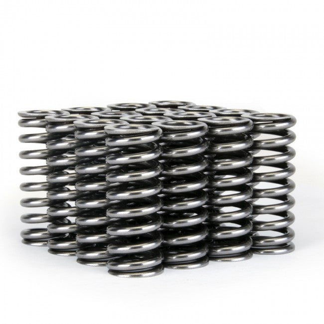 Skunk2 Alpha Series Valve Spring Set (Honda D-Series VTEC)