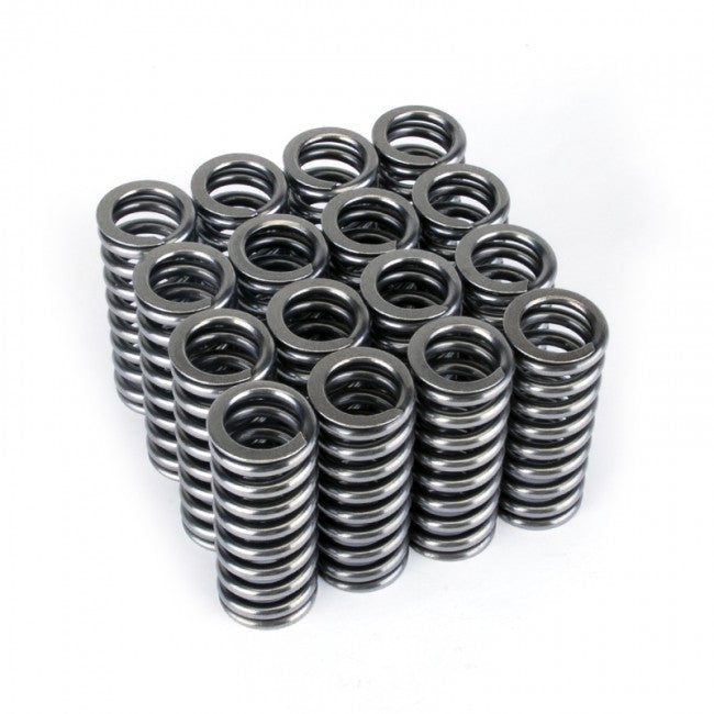 Skunk2 Alpha Series Valve Spring Set (Honda D-Series VTEC)