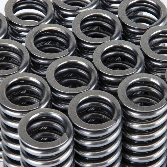 Skunk2 Alpha Series Valve Spring Set (Honda D-Series VTEC)