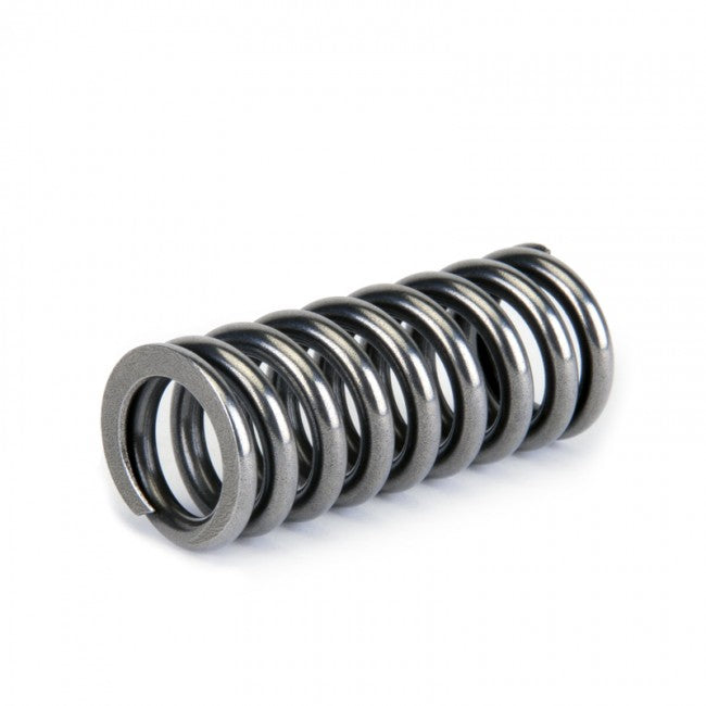 Skunk2 Alpha Series Valve Spring Set (Honda D-Series VTEC)