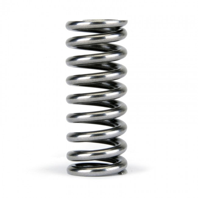Skunk2 Alpha Series Valve Spring Set (Honda D-Series VTEC)