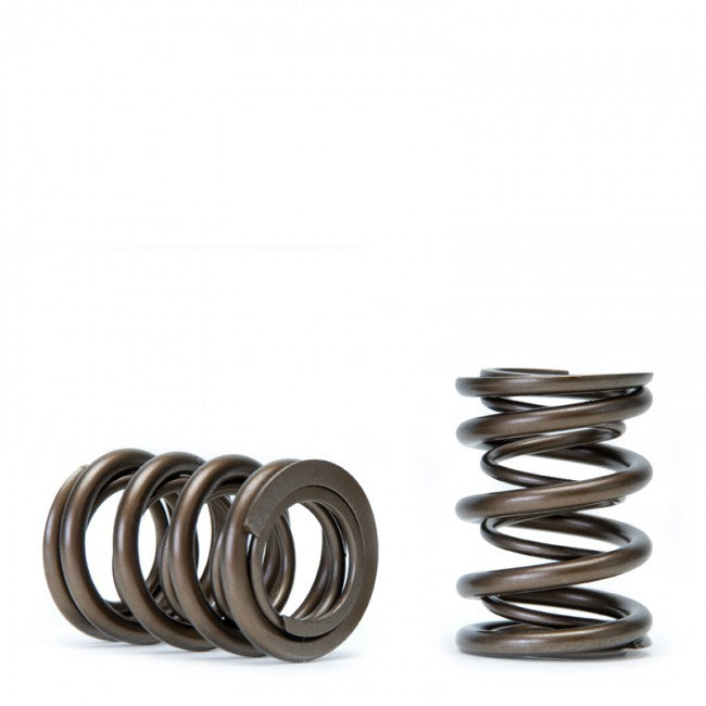 Skunk2 Alpha Valve Spring Set (Honda/Acura H22A F20B)