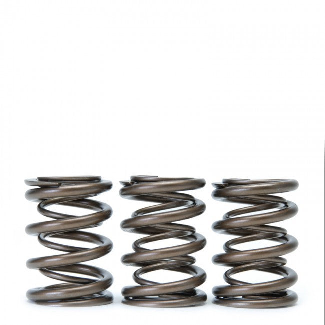 Skunk2 Alpha Valve Spring Set (Honda/Acura H22A F20B)